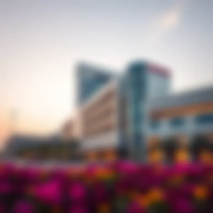 Magnificent A Comprehensive Overview of Emirates Hospital Business Bay