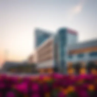 Magnificent A Comprehensive Overview of Emirates Hospital Business Bay Magnificent A Comprehensive Overview of Emirates Hospital Business Bay