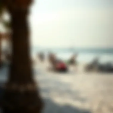 Leisure Activities at La Mer Beach Vibrant leisure activities at La Mer Beach, highlighting water sports and beachside relaxation