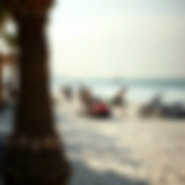 Leisure Activities at La Mer Beach Vibrant leisure activities at La Mer Beach, highlighting water sports and beachside relaxation