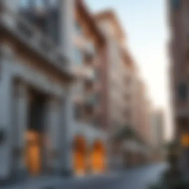 Architectural Details of Belhasa Karama Architectural details of Belhasa Karama buildings