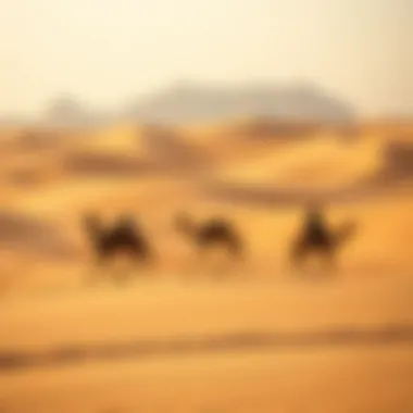 Stunning desert landscape showcasing traditional Bedouin culture