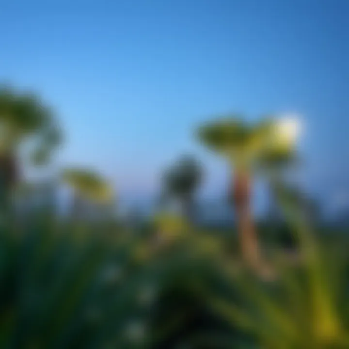 A healthy ecosystem within Al Barsha South Park