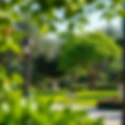 A serene view of Al Barsha South Park showcasing its lush greenery