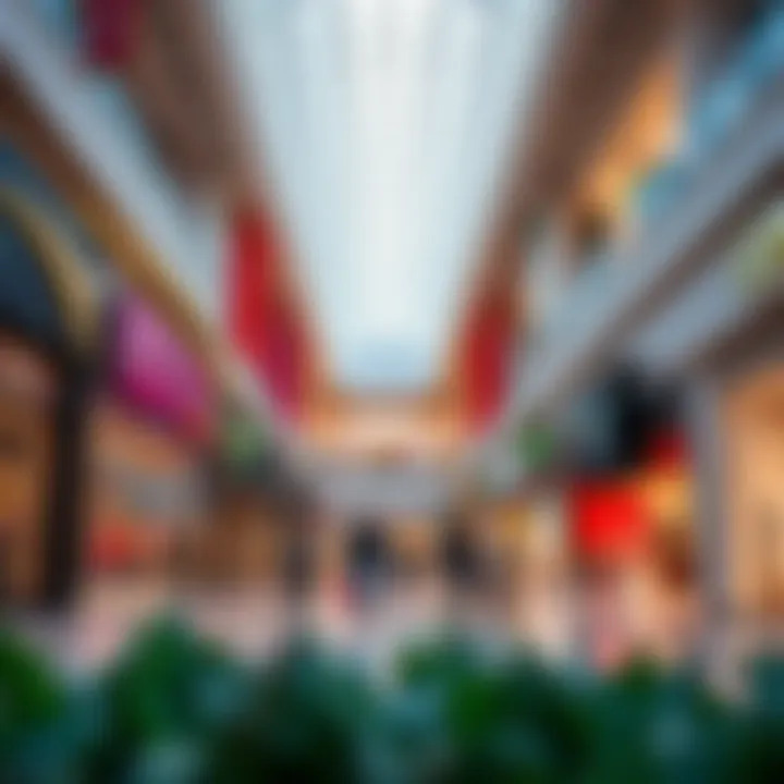 Vibrant retail spaces filled with various shops inside Barsha Mall