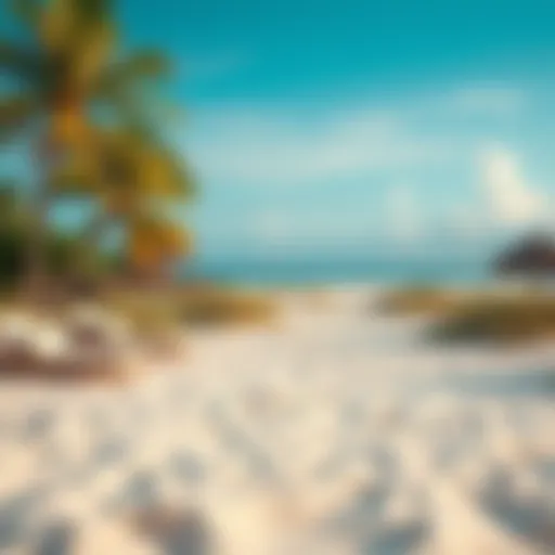 Serene Beach Oasis A serene beach view showcasing soft sands and gentle waves.