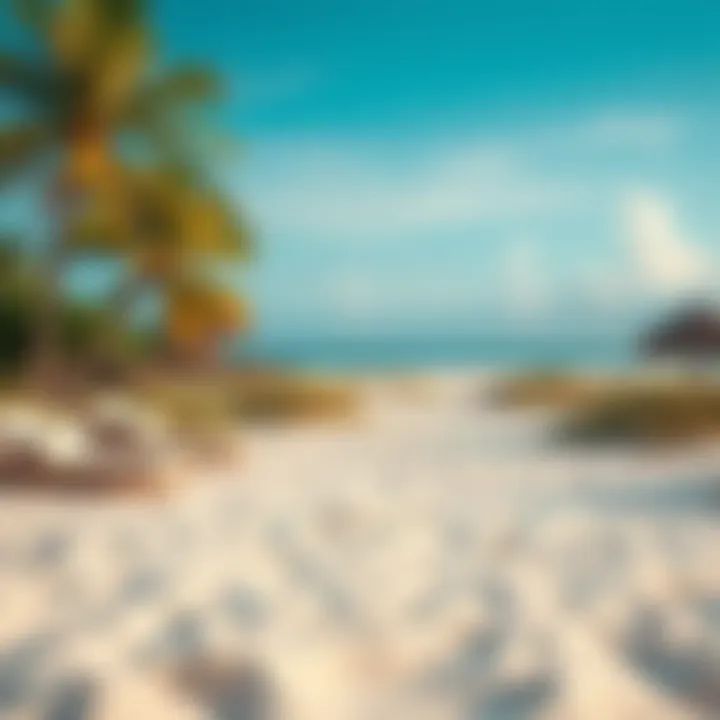 Serene Beach Oasis A serene beach view showcasing soft sands and gentle waves.