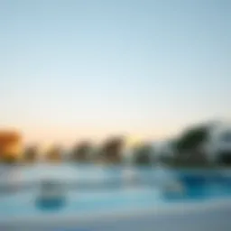 Exploring Damac Lagoons: A Detailed Analysis of the Nice Cluster Introduction