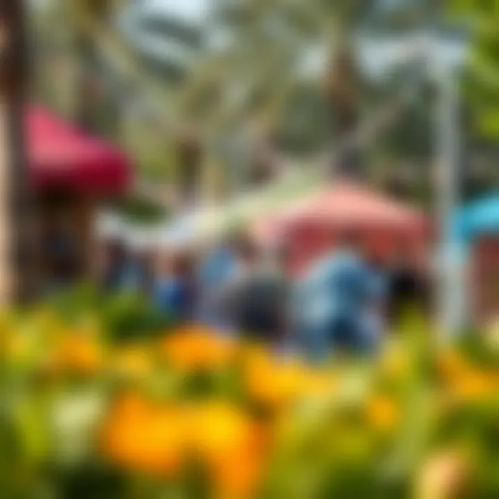 A festival event in a park, highlighting cultural activities and community gatherings