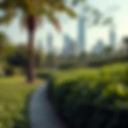 A serene view of Dubai's park with lush greenery and modern skyline in the background