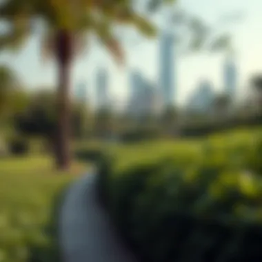 A serene view of Dubai's park with lush greenery and modern skyline in the background