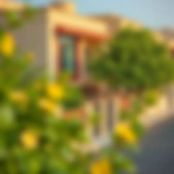 Rashidiya Neighborhood View A picturesque view of Rashidiya neighborhood