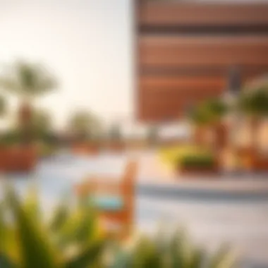 Community Amenities in La Rosa Vibrant community amenities including parks and recreational areas