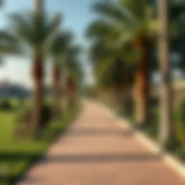 Serene walking path within a beautifully landscaped park