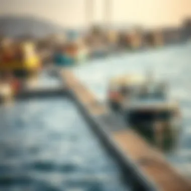Vibrant Marine Life at مرسى عجمان الجرف Boat dock showcasing marine activities at مرسى عجمان الجرف