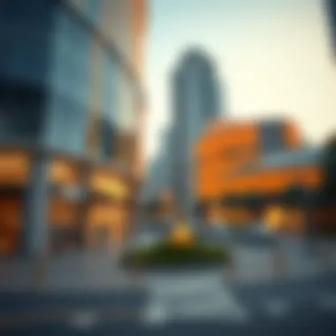 Economic impact of shopping complexes