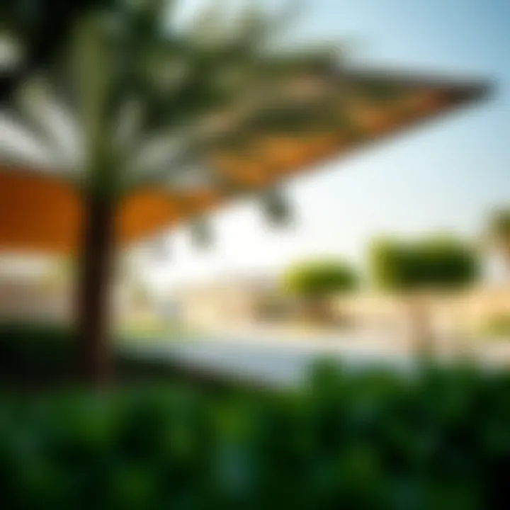 Community amenities in Mussafah Shabiya 9, highlighting parks and facilities