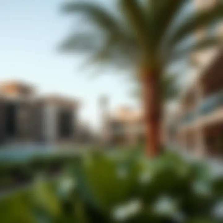 Community amenities available in International City with Nakheel Leasing