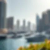 Scenic view of Dubai Marina showcasing luxury yachts and high-rise buildings