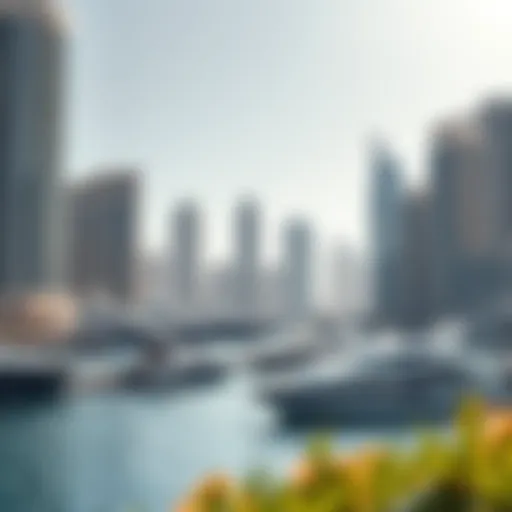 Scenic view of Dubai Marina showcasing luxury yachts and high-rise buildings