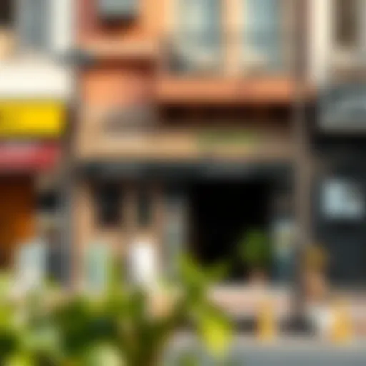 Exploring Rental Opportunities for Small Shops in Deira, Dubai Introduction