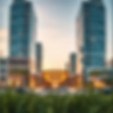 Investment Trends in Silicon Oasis Infographic highlighting investment trends in Silicon Oasis