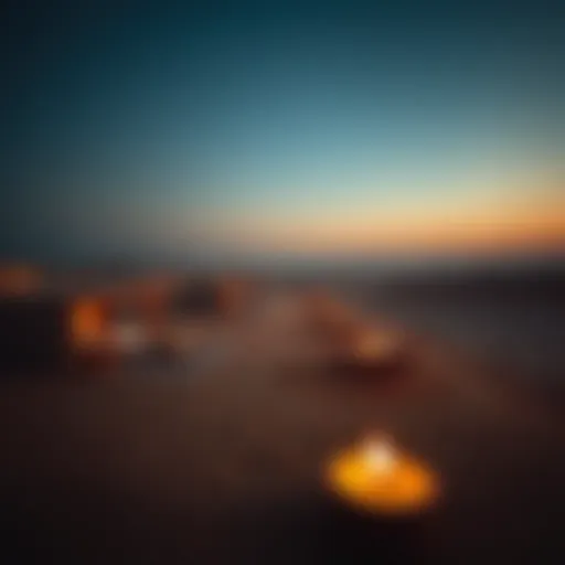 A panoramic view of the Bedouin oasis camp at sunset, showcasing the serene desert landscape.