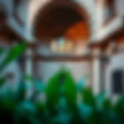 Exploring the Historical Significance of قرية الشعب: A Gate to Cultural Heritage Introduction