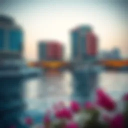 Exploring the Location of Binghatti Canal Introduction