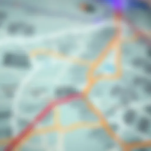 A detailed map of Dubai's metro routes showcasing key stations