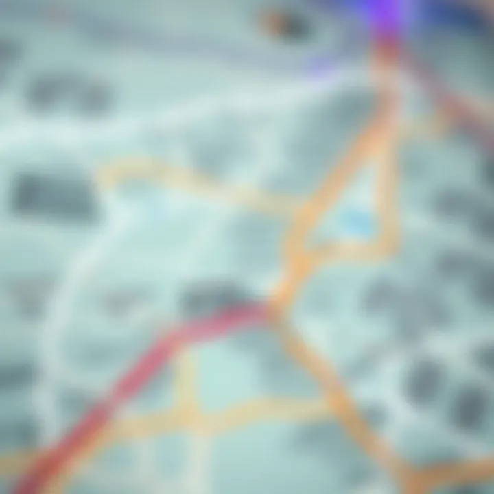 A detailed map of Dubai's metro routes showcasing key stations
