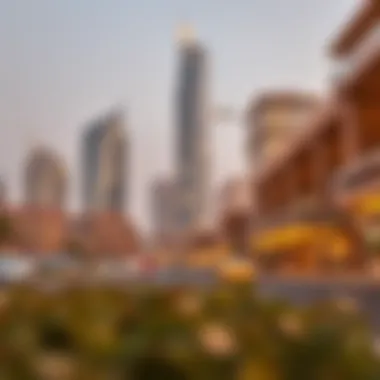 Infrastructural advantages of Silicon Oasis