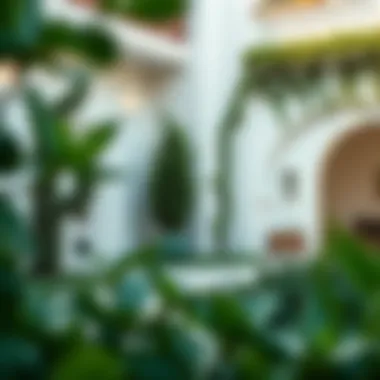 Elegant Design Elements in the Garden Architectural design features of the garden