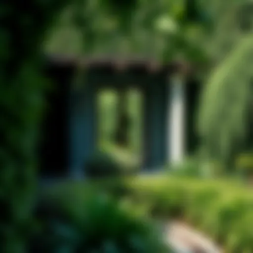 A Glimpse of Nature's Serenity Lush greenery of Ivy Secret Garden