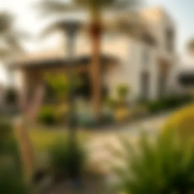 Sustainable Landscaping with Native Plants Sustainable landscaping with native plants in Dubai