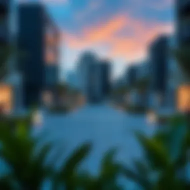 Modern Amenities in Budget-Friendly Neighborhoods Modern amenities in Dubai's budget-friendly neighborhoods