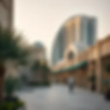 Expatriate Life in the UAE A conceptual image representing expatriate life in the UAE