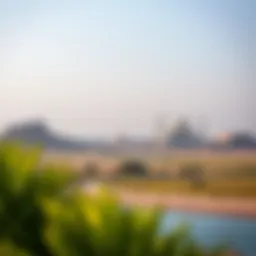 A serene landscape showcasing the natural beauty of the UAE