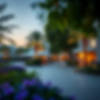 Community Amenities of Nima the Valley Lush community amenities at Nima the Valley