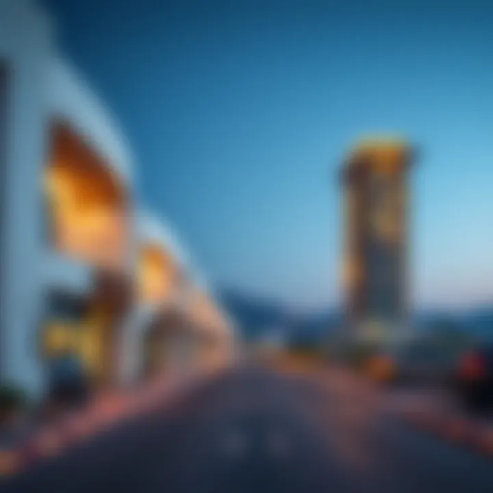 Investment Insights for Nima the Valley Investment potential in Nima the Valley