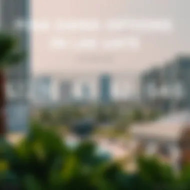 Infographic on financing options in UAE