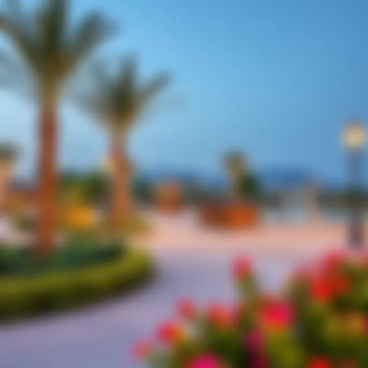 Recreational Spaces and Community Amenities Community amenities and recreational spaces in Reem Hills