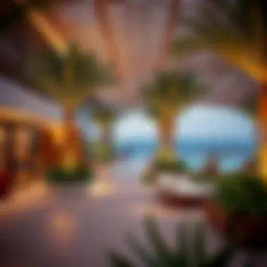 Amenities and recreational facilities at Savanna Emaar