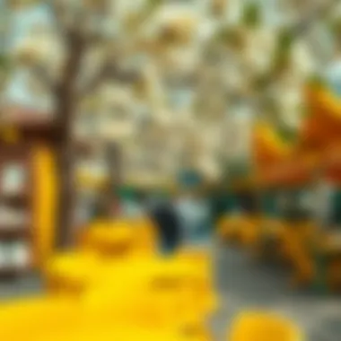 Cultural festival celebrating lemon blossom