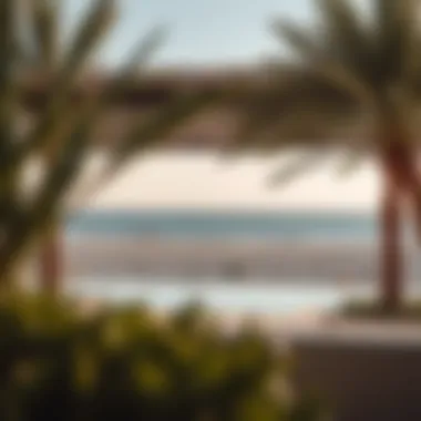 The Real Estate Landscape Near the Beach in Dubai Summary The Real Estate Landscape Near the Beach in Dubai Summary