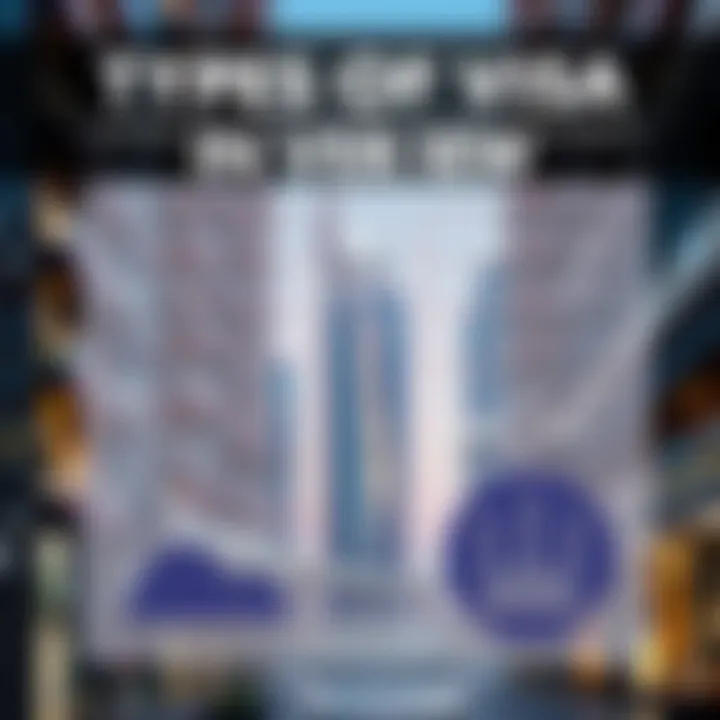 A detailed infographic showcasing various visa types in Dubai