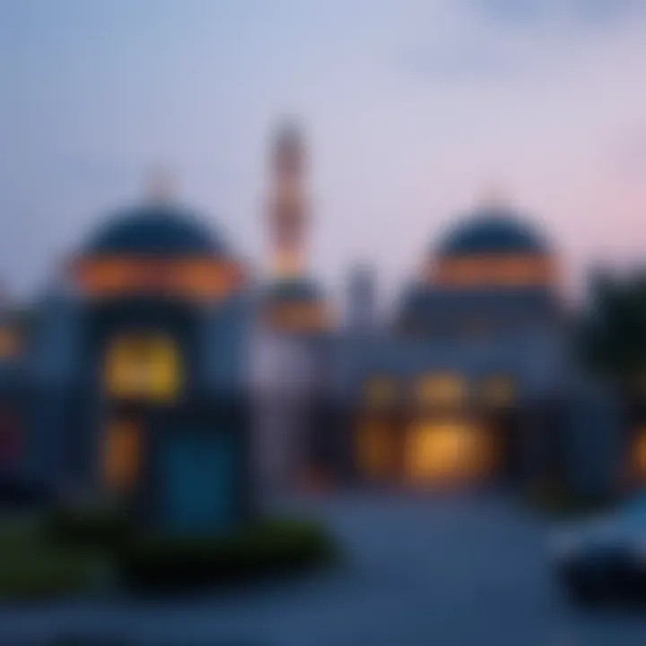 Notable Understanding ICP UAE Visa Status