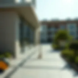 Legal framework of overstaying in the UAE